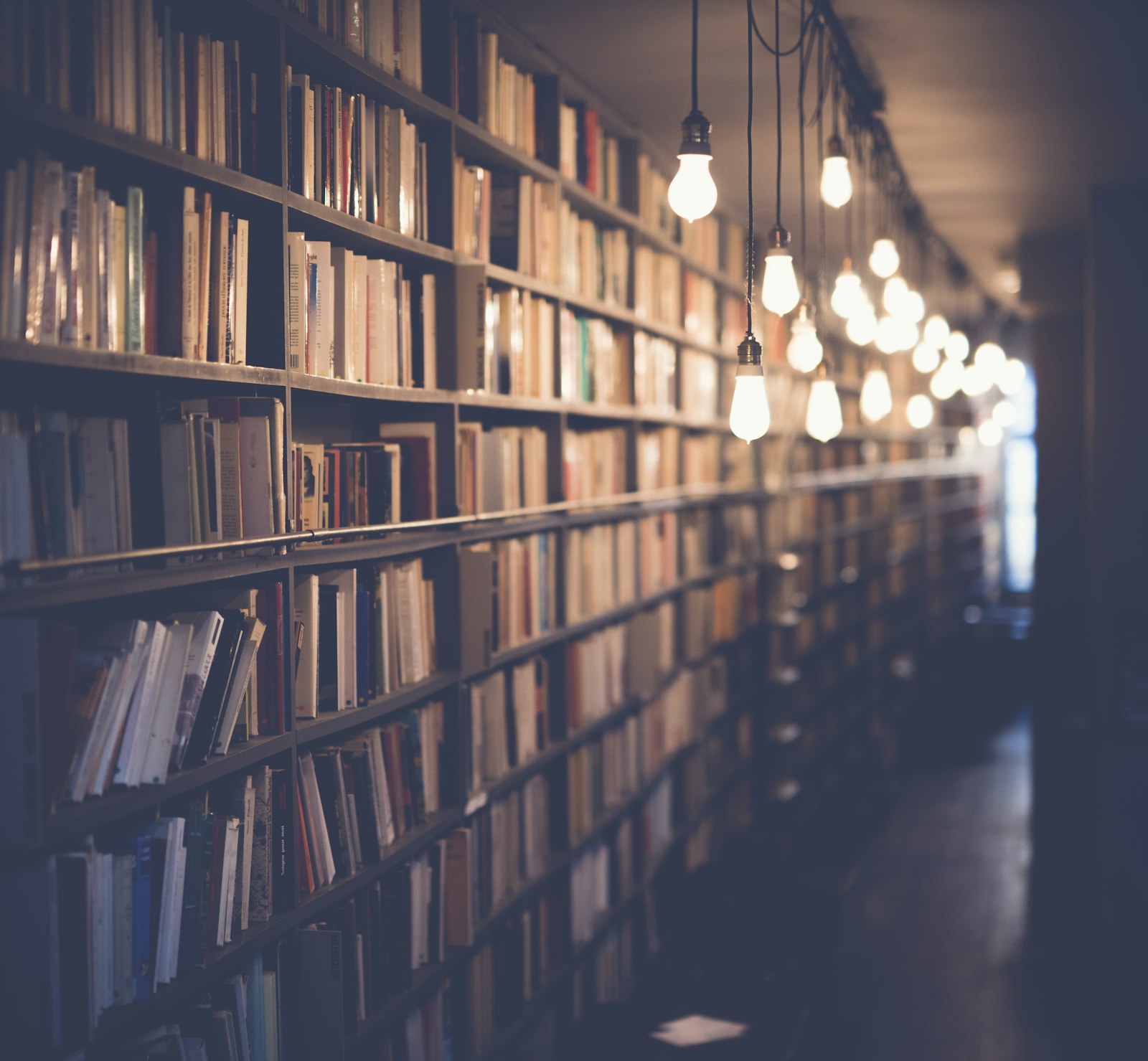 Library shelves used as a category reference
